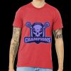 Unisex Triblend Tee (same day) Thumbnail